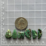 Medium Bamboo Green Mixed Treasure Mountain Turquoise, Set of 6 Dimensions