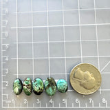 Small Mint Green Mixed Bamboo Mountain Turquoise, Set of 5 Dimensions