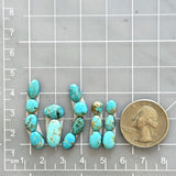 Small Sky Blue Mixed Number 8 Turquoise, Set of 16 Dimensions