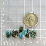 Small Sky Blue Mixed Ithaca Peak Turquoise, Set of 5 Dimensions