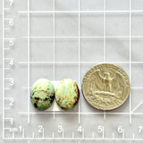 Medium Faint Green Oval Crescent Lake Variscite, Set of 2 Dimensions
