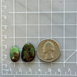 Small Sea Green Freeform Royston Turquoise, Set of 2 Dimensions