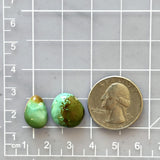 Small Sea Green Mixed Royston Turquoise, Set of 2 Dimensions