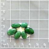 Small Deep Green Oval Crescent Lake Variscite, Set of 6 Dimensions