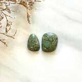 Medium Sea Green Mixed Bamboo Mountain Turquoise, Set of 2 Background