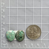 Medium Mixed Mixed Broken Arrow Variscite, Set of 2 Dimensions