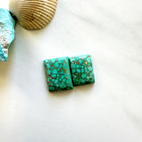 Medium Sea Green Bar Namtso Lake Turquoise, Set of 2 Background