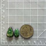 Medium Deep Green Teardrop Crescent Lake Variscite, Set of 2 Dimensions