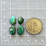 Small Sea Green Mixed Carico Lake Turquoise, Set of 4 Dimensions