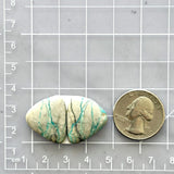 Medium Sky Blue Freeform Royston Turquoise, Set of 2 Dimensions