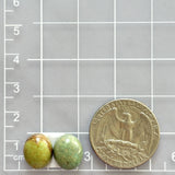 Small Mixed Oval Broken Arrow Variscite, Set of 2 Dimensions