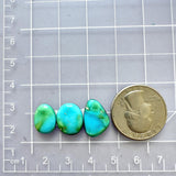 Small Sky Blue Mixed Sonoran Blue Turquoise, Set of 3 Dimensions