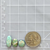 Medium Faint Green Mixed Broken Arrow Variscite, Set of 3 Dimensions