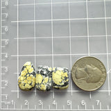 Medium Yellow Mixed Treasure Mountain Turquoise, Set of 3 Dimensions