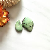 Small Lime Green Mixed Treasure Mountain Turquoise, Set of 2 Background