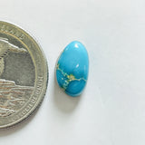 L12 x W7 x H5 Sky Blue Freeform Bisbee Turquoise Dimensions