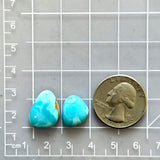 Medium Sky Blue Freeform Royston Turquoise, Set of 2 Dimensions