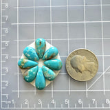 Small Sky Blue Teardrop Royston Turquoise, Set of 8 Dimensions