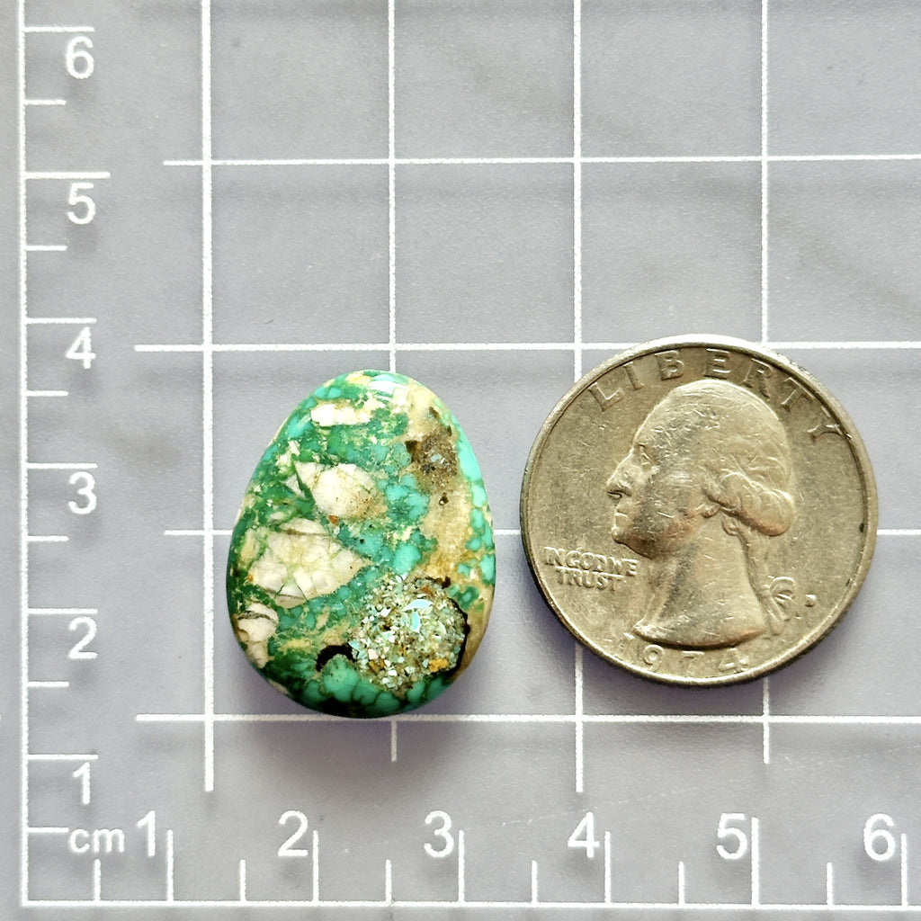 Sea Green Fox Turquoise Top Drilled Briolette – Turquoise Moose