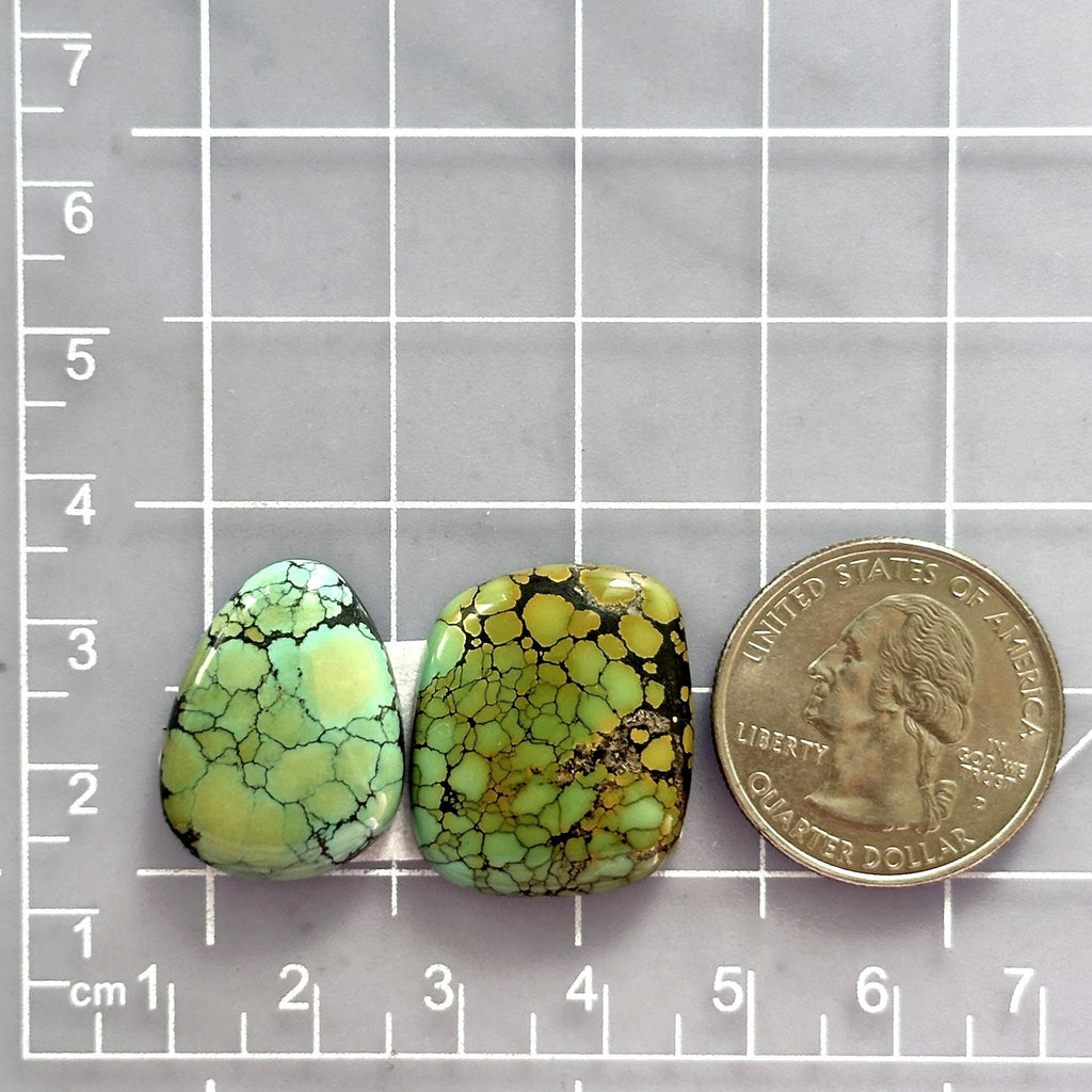 Large Lime Green Mixed Treasure Mountain Turquoise, Set of 2