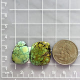 Large Lime Green Mixed Treasure Mountain Turquoise, Set of 2 Dimensions