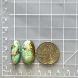Large Faint Green Oval Crescent Lake Variscite, Set of 2 Dimensions
