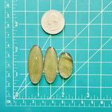 Large Swamp Green Mixed Rosarita, Set of 3 Dimensions