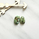 Medium Sea Green Mixed Treasure Mountain Turquoise, Set of 2 Background