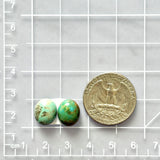 Small Mixed Oval Mixed Turquoise, Set of 2 Dimensions