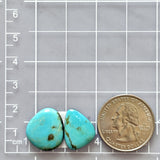 Small Sky Blue Freeform Sonora Turquoise, Set of 2 Dimensions