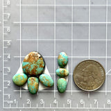 Small Sea Green Mixed Tyrone Turquoise, Set of 7 Dimensions