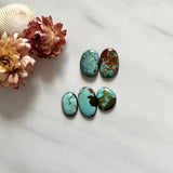 Small Mint Green Mixed Fox Turquoise, Set of 5 Background