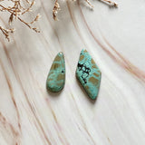 Large Faint Green Mixed Giraffe Turquoise, Set of 2 Background