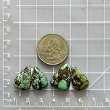 Medium Mint Green Mixed Wild Horse Turquoise, Set of 4 Dimensions
