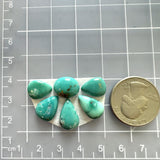 Small Sea Green Mixed Fox Turquoise, Set of 6 Dimensions