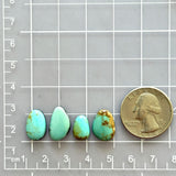 Small Sky Blue Freeform Royston Turquoise, Set of 4 Dimensions
