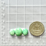 Small Mint Green Oval Lucid Variscite, Set of 3 Dimensions