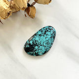 Large Sky Blue Freeform Yungai Turquoise Background