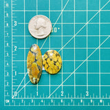 Large Earth Brown Mixed Treasure Mountain Turquoise, Set of 2 Dimensions