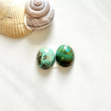 Small Mixed Oval Mixed Turquoise, Set of 2 Background