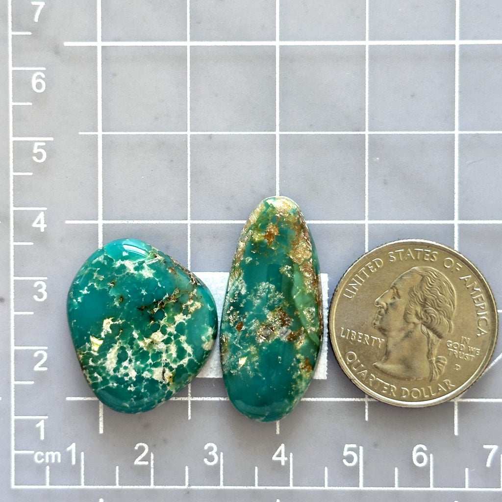 Large Deep Green Mixed Fox Turquoise, Set of 2 - Turquoise Moose