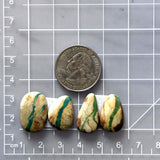 Medium Deep Green Mixed Royston Turquoise, Set of 4 Dimensions