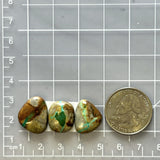 Medium Deep Green Freeform Royston Turquoise, Set of 3 Dimensions