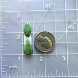 Small Bamboo Green Mixed Bamboo Mountain Turquoise, Set of 2 Dimensions