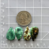 Medium Mixed Teardrop Crescent Lake Variscite, Set of 4 Dimensions
