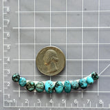 Small Sky Blue Mixed Sonora Turquoise, Set of 11 Dimensions