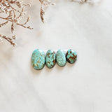 Small Faint Green Freeform Carico Lake Turquoise, Set of 4 Background