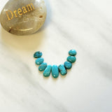 Small Sky Blue Oval Fox Turquoise, Set of 9 Background