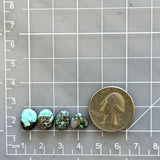 Small Sky Blue Mixed Sonora Turquoise, Set of 4 Dimensions