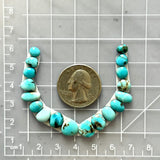 Small Sky Blue Mixed Lone Mountain Turquoise, Set of 18 Dimensions